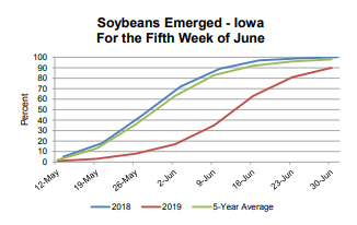 soybean-emerged