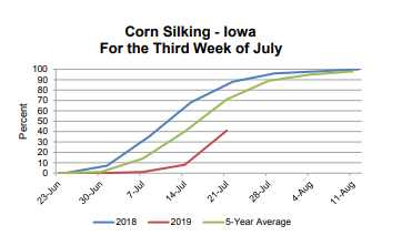 corn-update-7-25-19