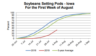 soybeans-8919