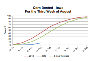 corn-progress-8-19-19