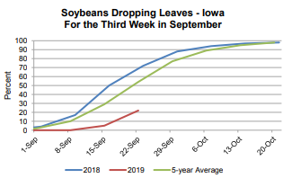 soybeans-9-26-19