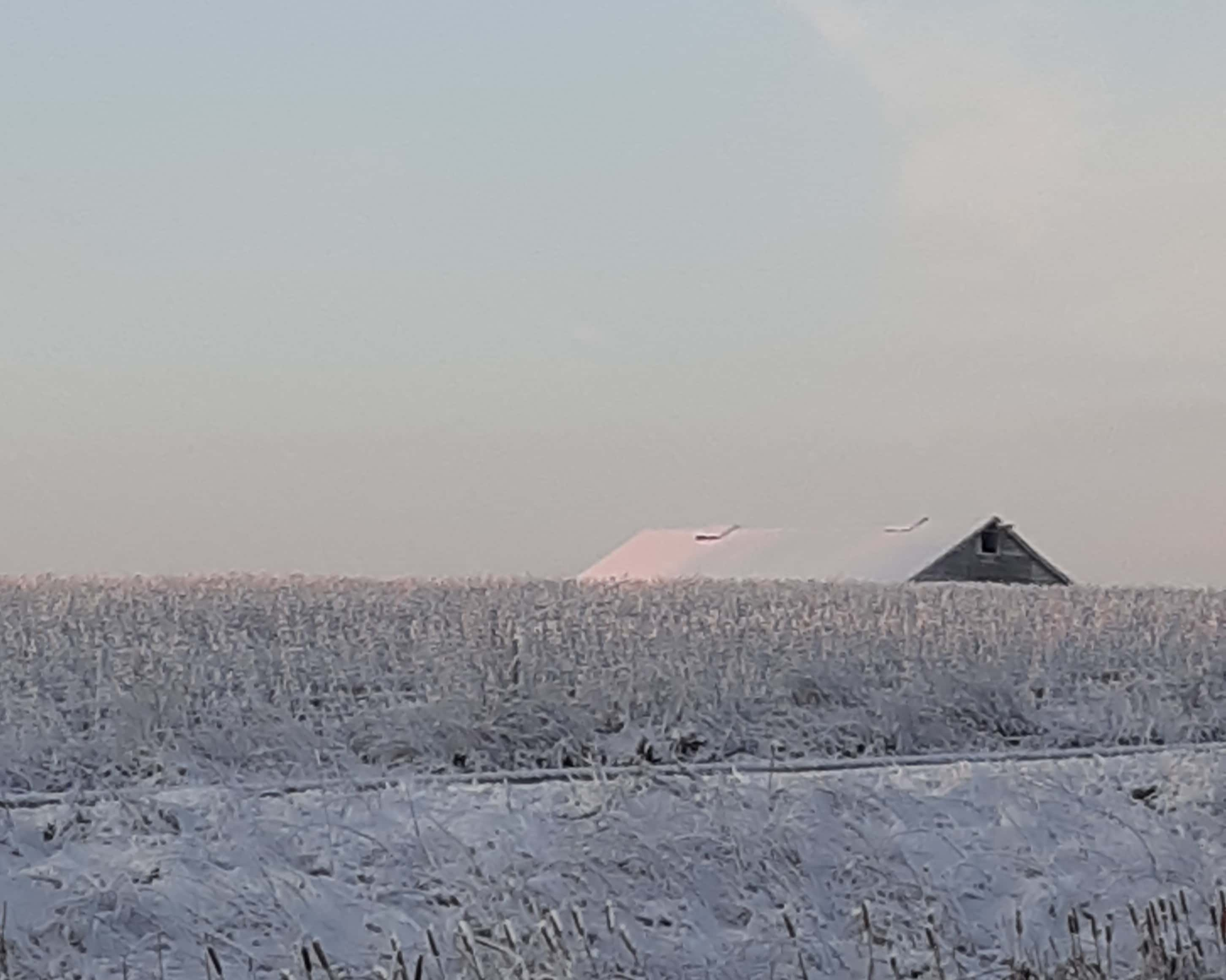 snowy-corn-field-and-barn