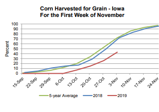 corn-harvest-11-12-19