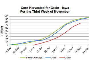 corn-update-11-18-19