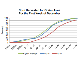 corn-update-12-3-19