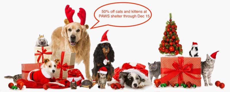 paws-open-house-2019