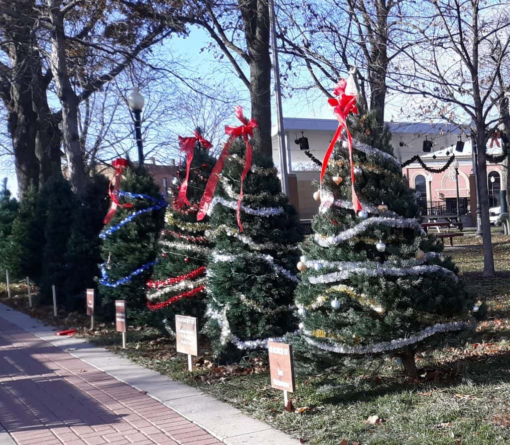Lights of Love Memorial Trees Available with MSW