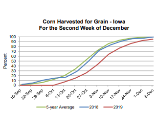 corn-12-11-19