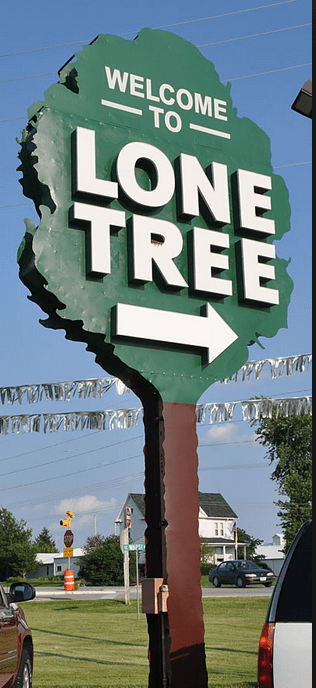 lone-tree-4