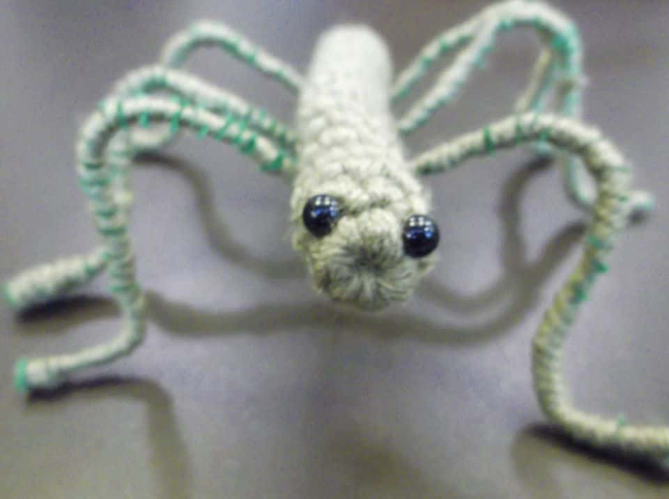 fiber-arts-bug-2020