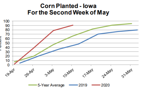 corn-progress-5-11-20