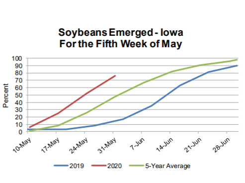 soybean-update-6-2-20