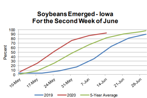 crop-update-6-17-20