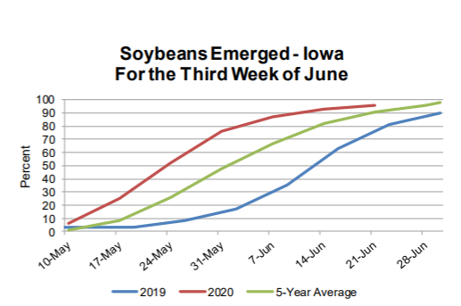 crop-progress-6-23-20