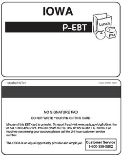 p-ebt-card