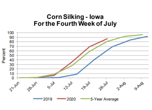 corn-silking-7-27-20
