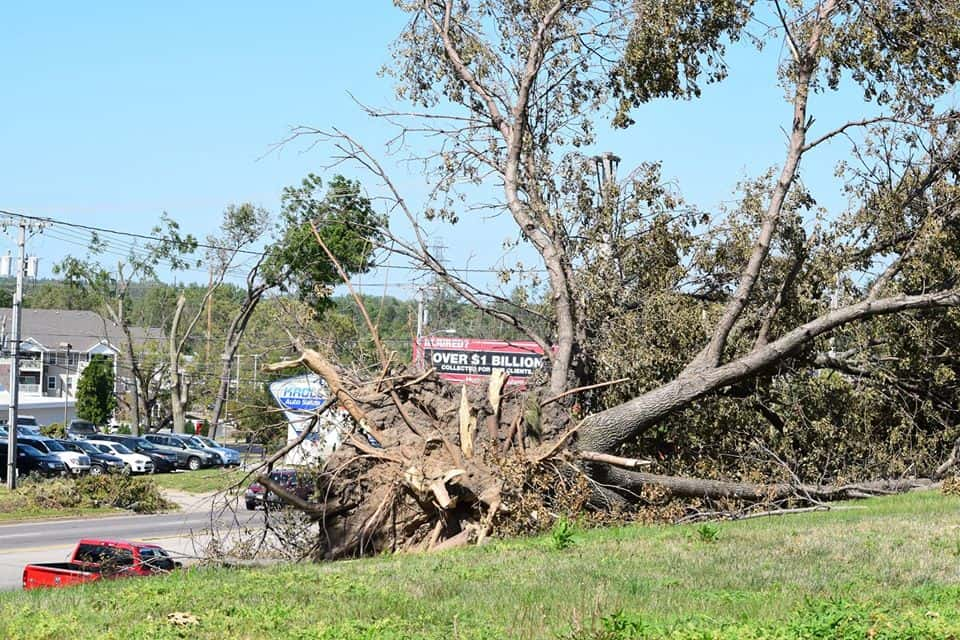 tree-damage-cr-8-17-20-cat-nelson-photo