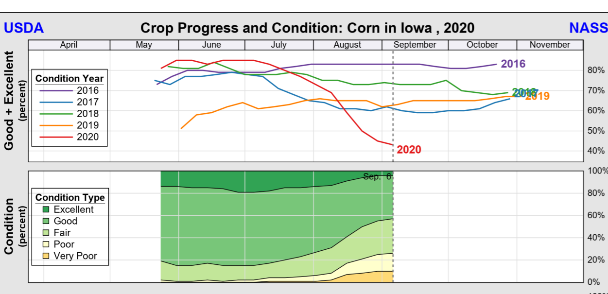 corn-progress-9-9-20