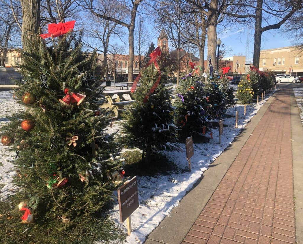 Couple Days Left to Drop Off Christmas Trees in Washington - Vimarsana News