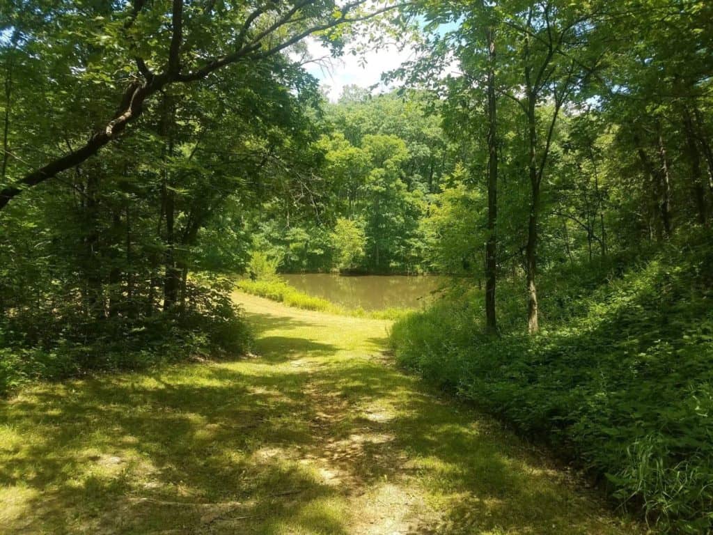 Washington County Board of Supervisors hear Sockum Ridge Tree Project - Vimarsana News