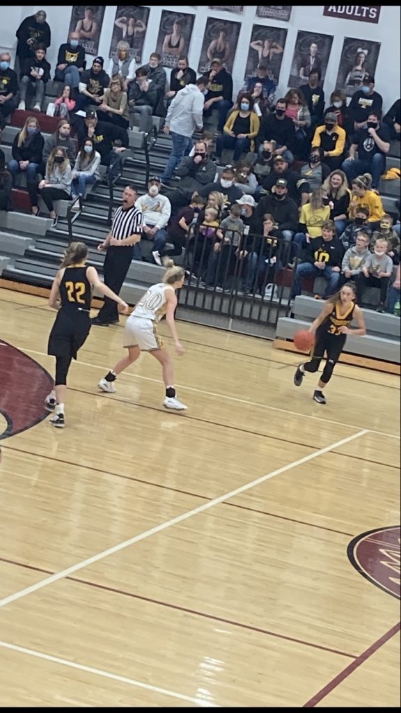 Tigers End Savage Run in Semis - Vimarsana News
