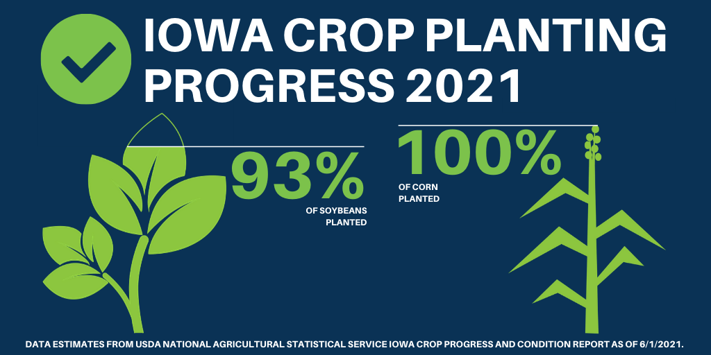 planting-progress-june-1-2021