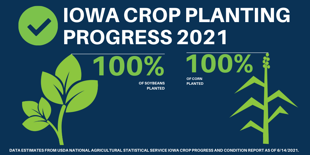 planting-progress-june-14-2021