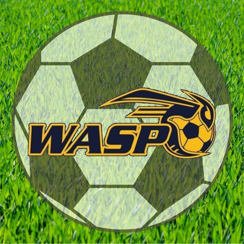 wasp-logo