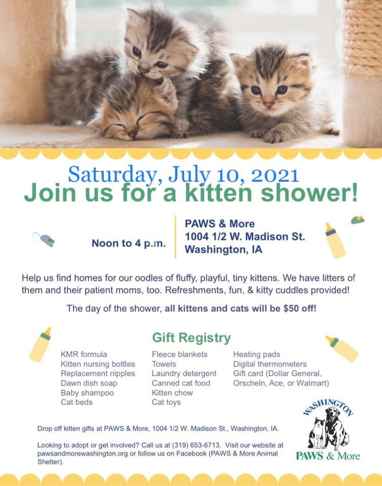 PAWS & More Hosting First Kitten Shower Since 2019 KCII Radio The
