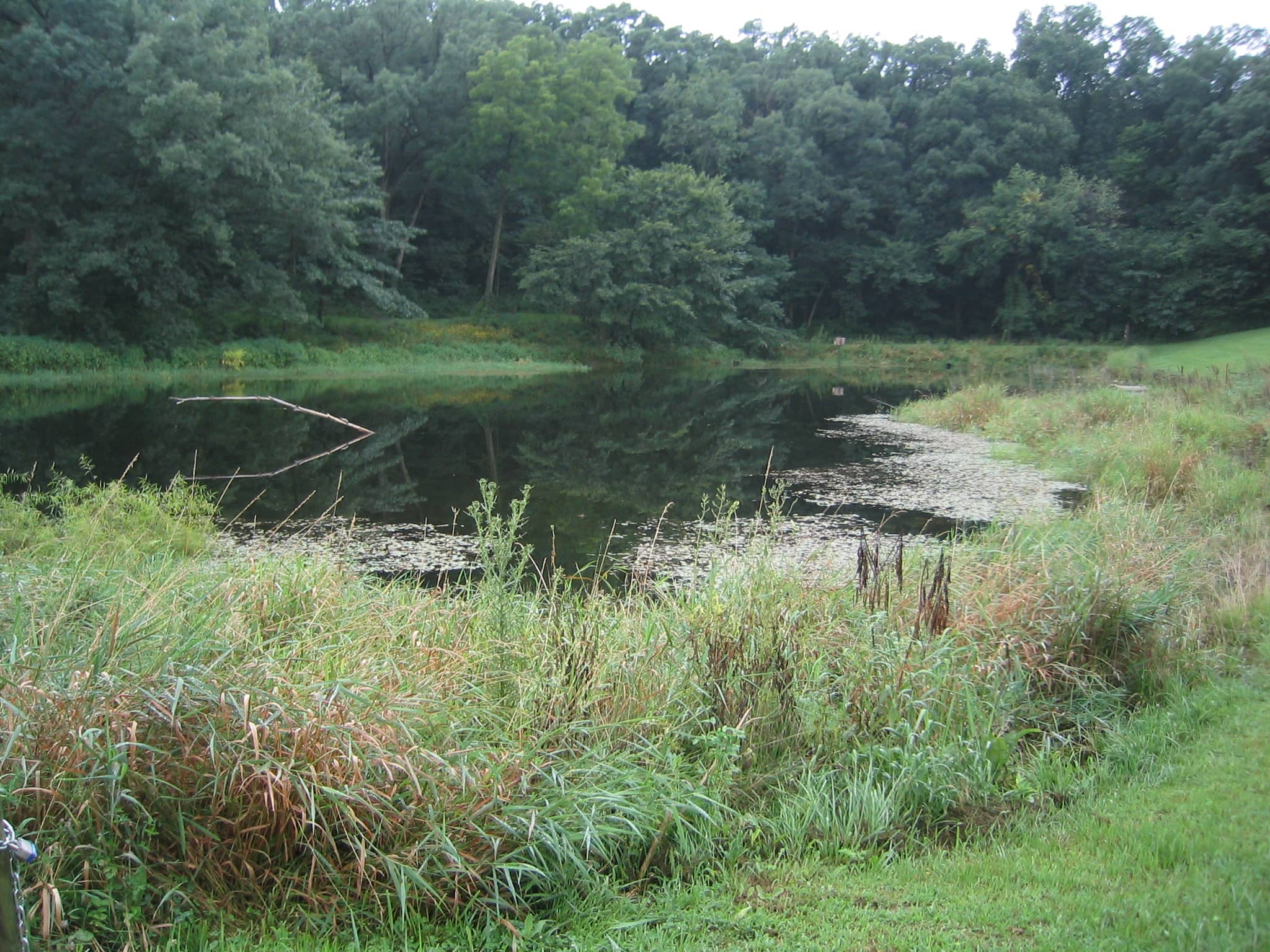 foster-woods-pond