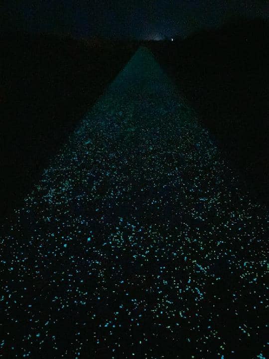 kewash-trail-glow-in-the-dark