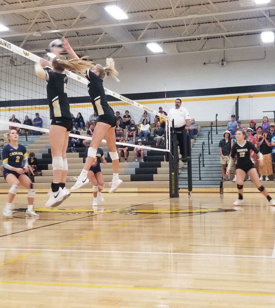 Golden Hawk Defense Stands Tall at the Net - Vimarsana News
