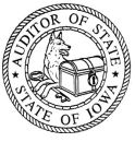 state-auditor-2