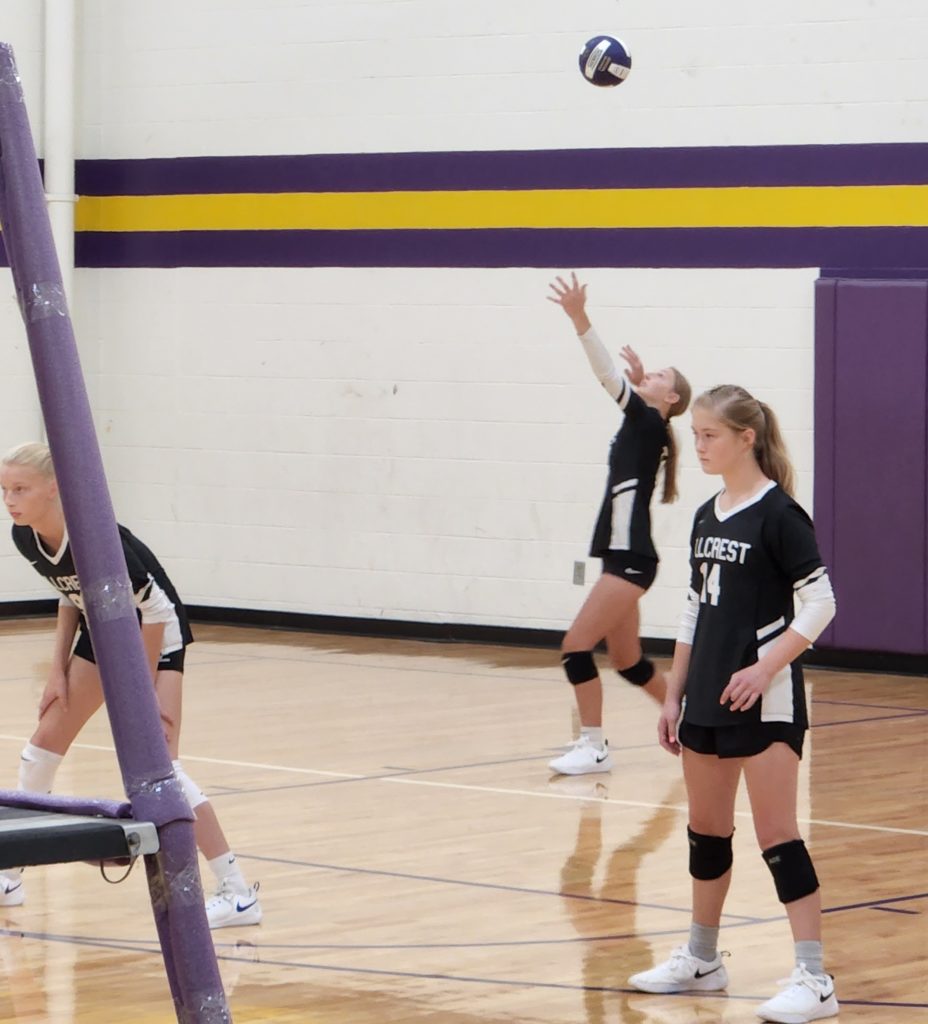 Arrows Score Sweep of Ravens - Vimarsana News