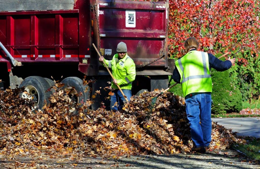 Kalona Curbside Leaf Pickup Underway - Vimarsana News