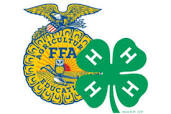 4-h-ffa