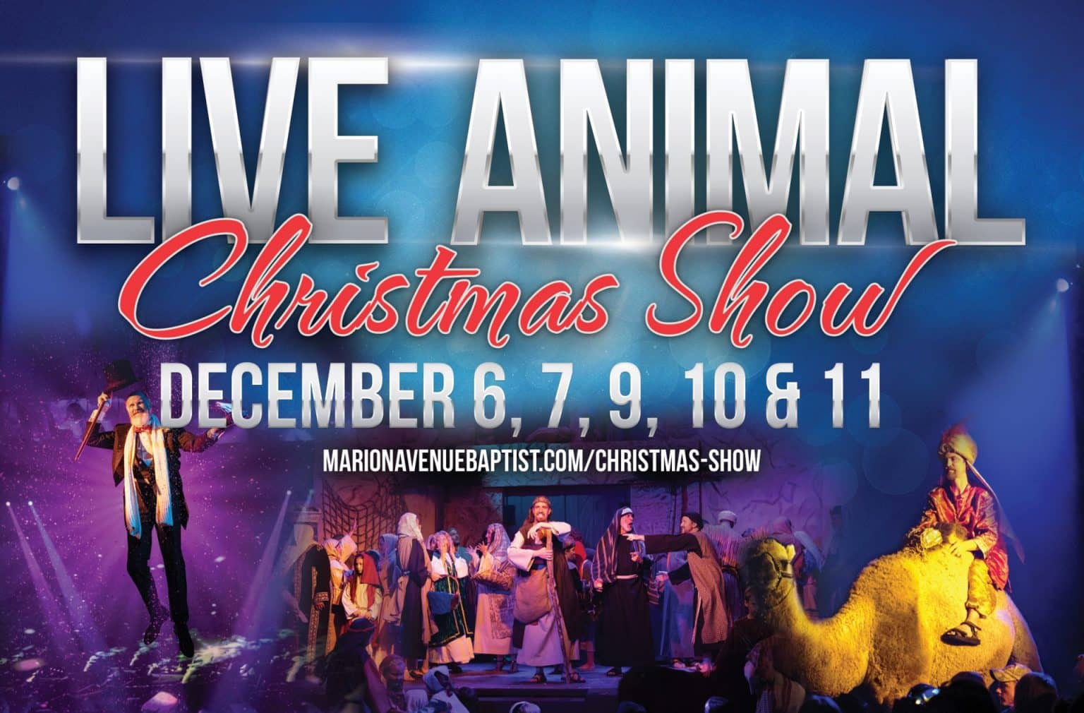 Live Animal Christmas Show Performance for Washington Residents KCII