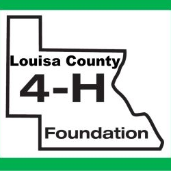 louisa-4h