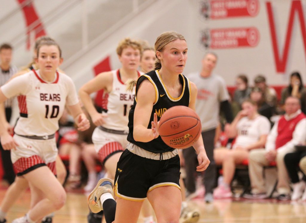 Hawks Split With Panthers, Girls Win Sixth Straight - Vimarsana News