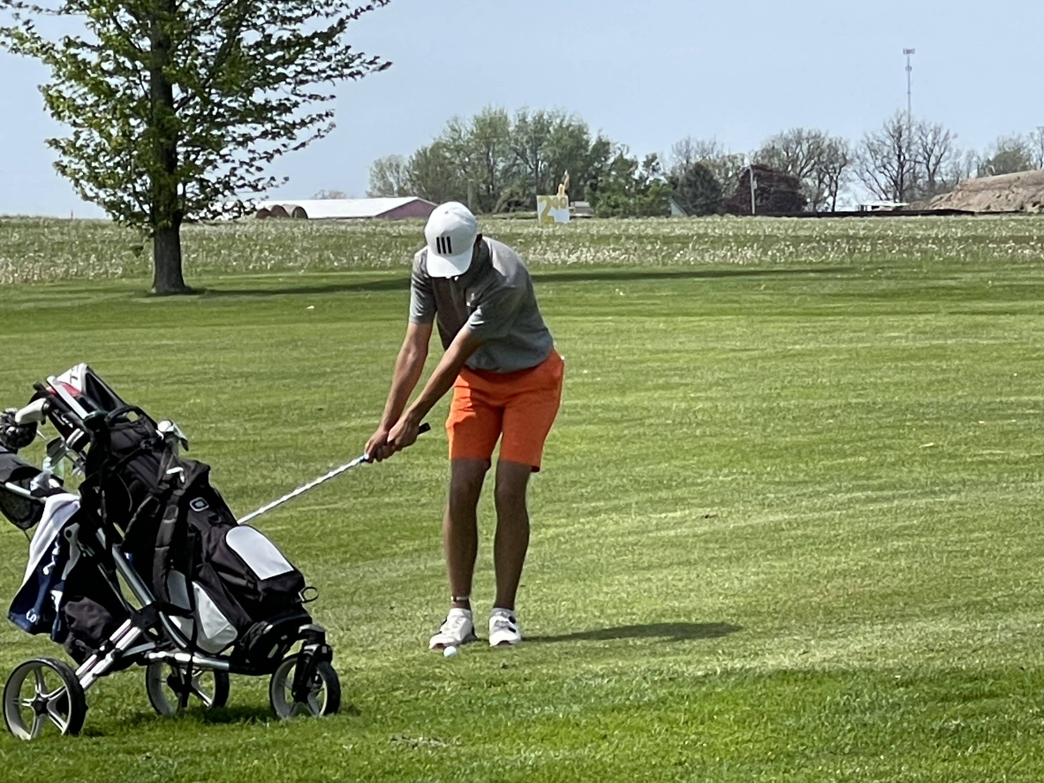 Orange & Black Teams in Professional Sports