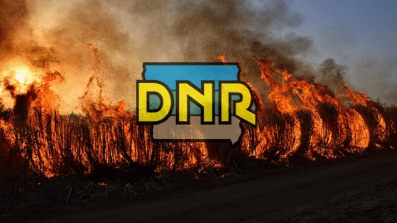 dnr-fire