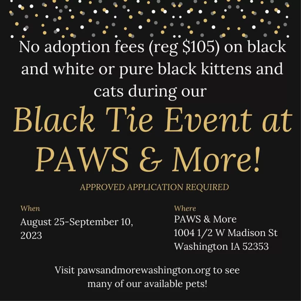 Black Tie Adoption Special Going on Now At PAWS & More