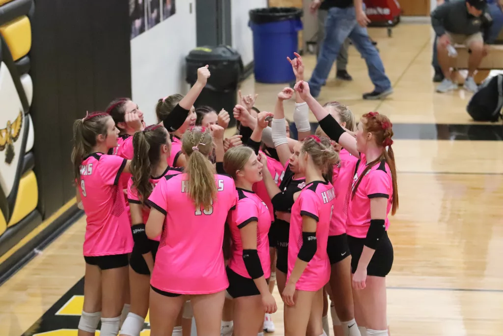 Hawks Fall in Four in Finals, Stopped Short of State - Vimarsana News
