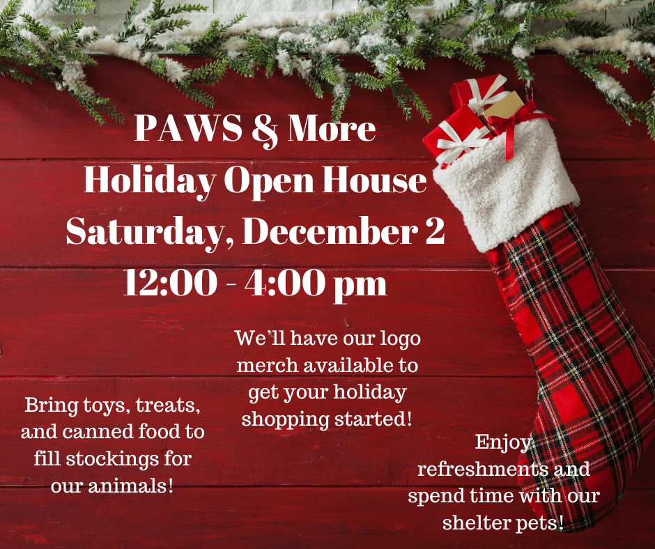 paws-holi-open-house