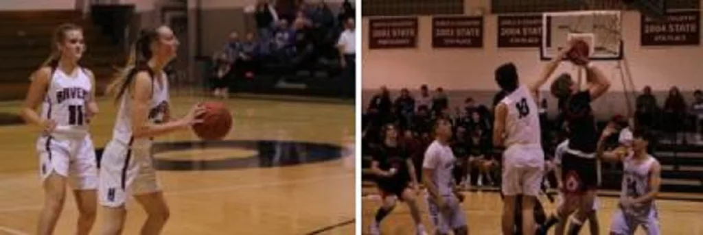 Ravens Try To Shoot Down Arrows and Indians - Vimarsana News