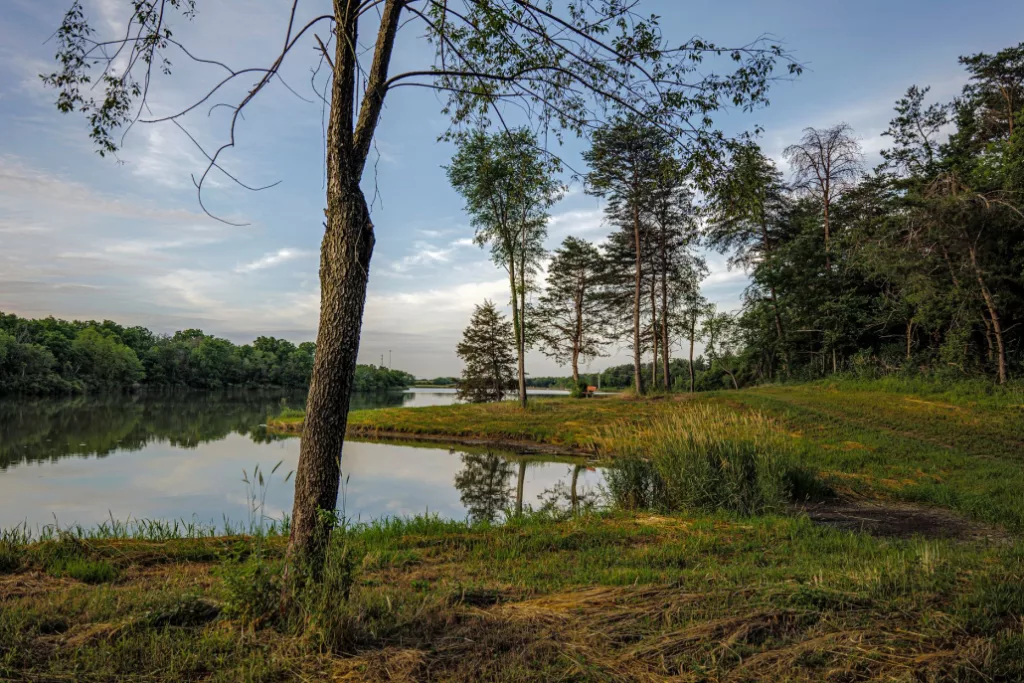 Habitat Restoration Continues At Pleasant Lake In Jefferson County - Vimarsana News