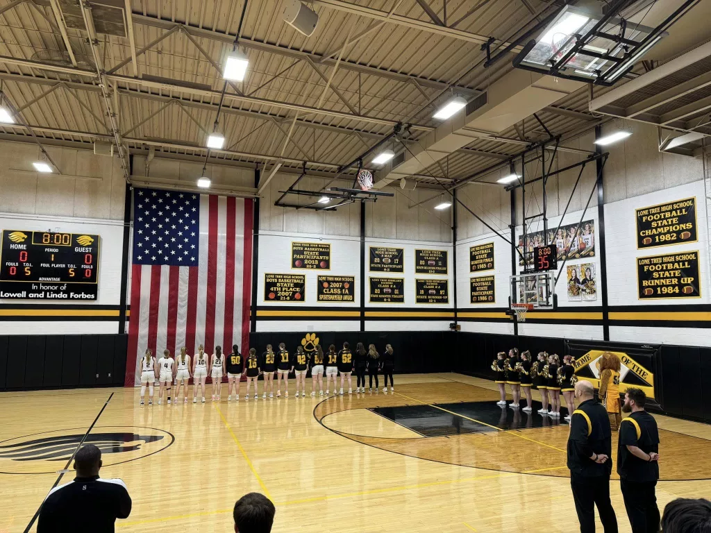 Lady Lions Clash With Danville In Regional Quarterfinals - Vimarsana News