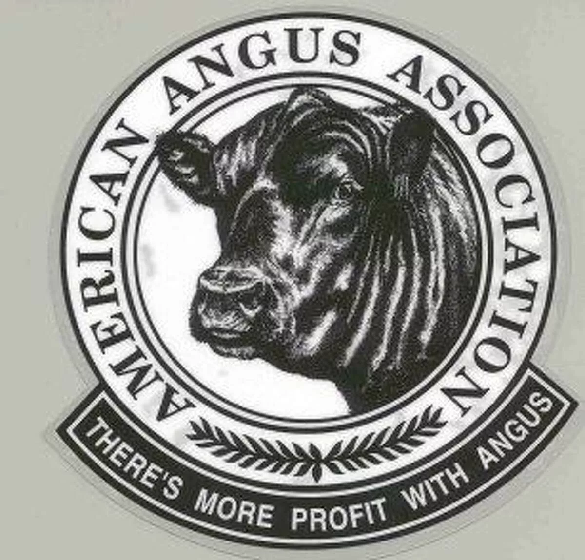 angus-association