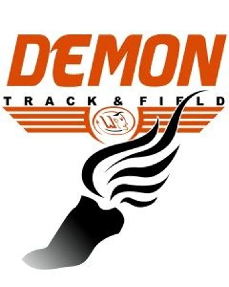 demontrack3