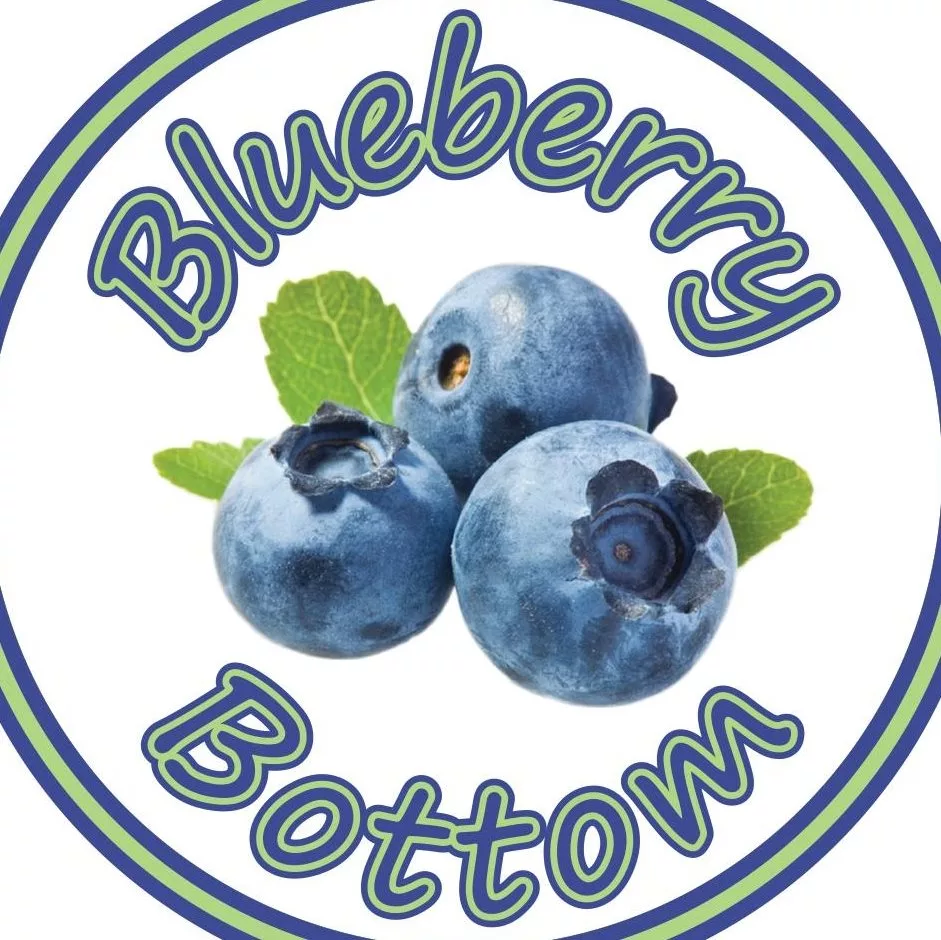 blueberry-bottom